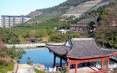 墓地怎么买（购买流程和注意事项）