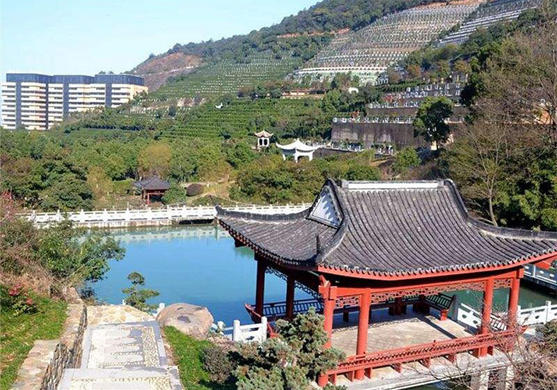 墓地怎么买（购买流程和注意事项）