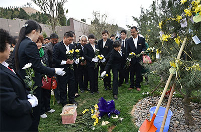 亲人离世，墓地挑选指导，安葬择吉服务