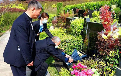 如何能够快速买到适合的墓地