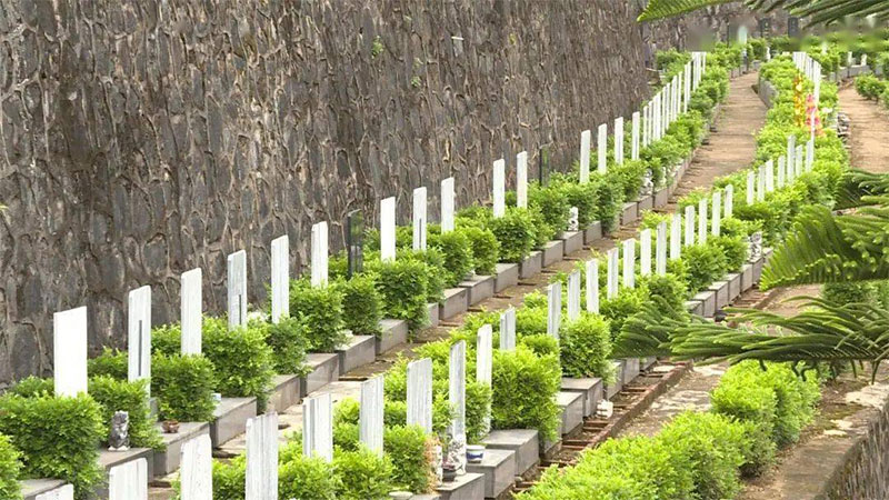 墓地需要提前购买吗？有必要提前买墓地吗？