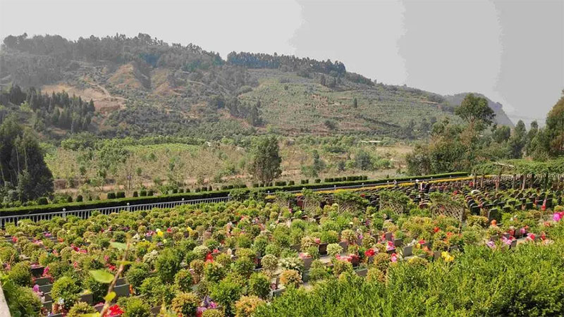 公墓陵园怎么看风水？快来了解吧