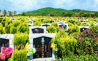 选择墓地的明显特征