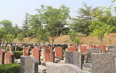 提前购买昆明墓地好不好？买什么样的合适？