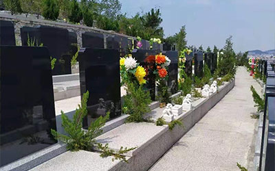 选墓地有什么讲究？怎么样选合适？