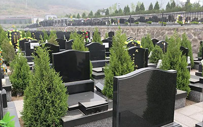 选择昆明墓地的时候需要看风水吗