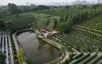 购买墓地时还需要注意哪些问题？