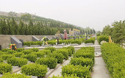 购买墓地需要带什么证件？