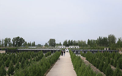 购买墓地需要注意什么？怎么判断墓地是否合法？