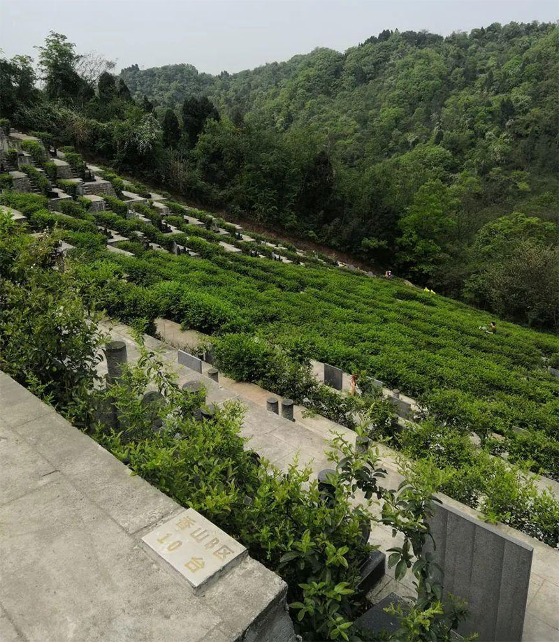 这些选择墓地常识，学会避免踩坑