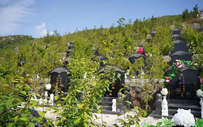 如何正确挑选墓地