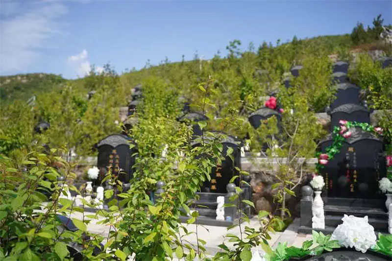 如何正确挑选墓地