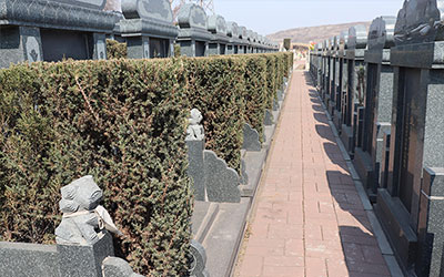 购买墓地要注意什么？要准备哪些东西？