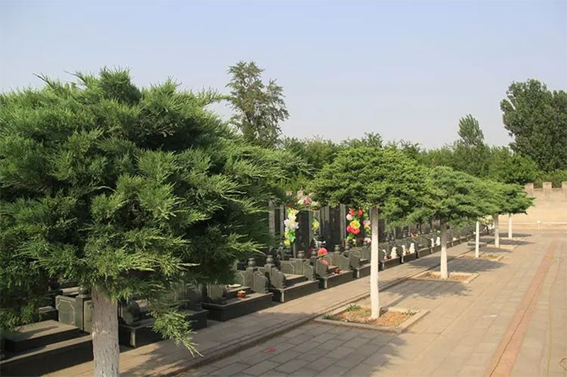 如何为故人选择一个好的墓地?