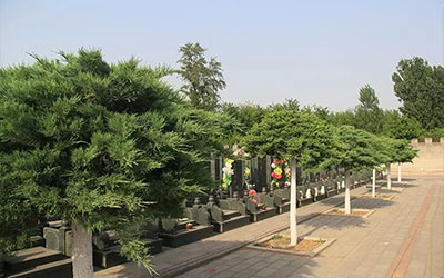 如何为故人选择一个好的墓地?