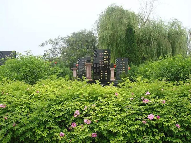 如何看墓地的位置