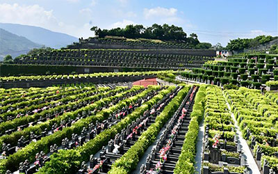 清明节是购墓高峰期吗？昆明一般什么时候买墓地便宜？