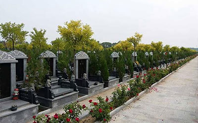墓地购买指南