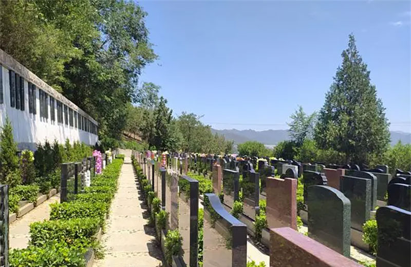 购买墓地的流程是什么