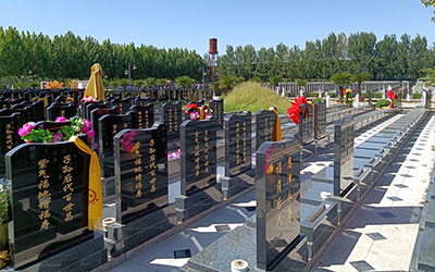 老人多大年纪开始购买墓地比较合适