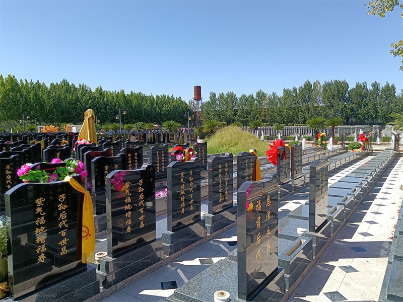 老人多大年纪开始购买墓地比较合适