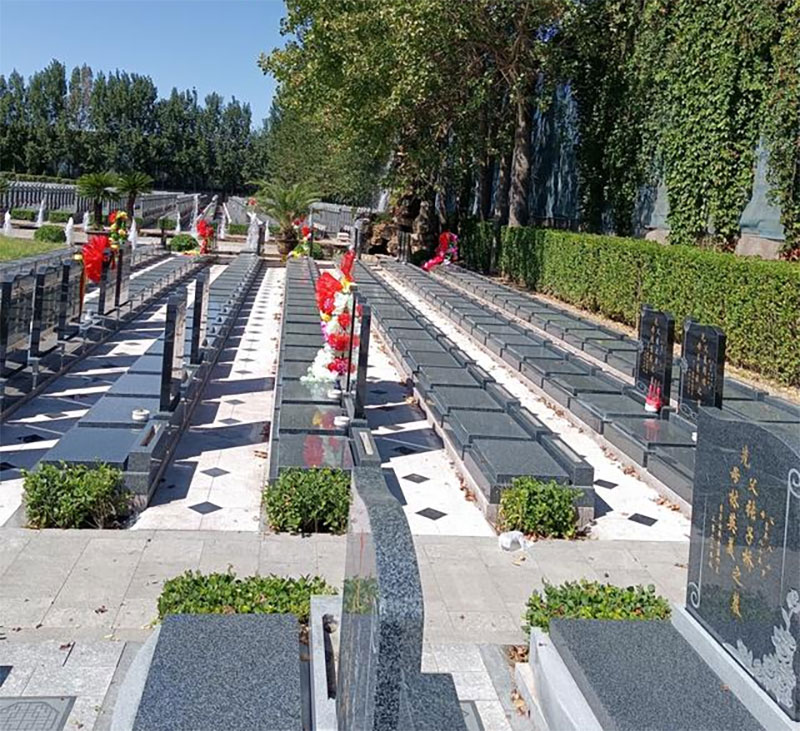 看墓地比较简单的方法有哪些