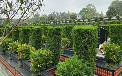 在昆明的公墓中，如何选择一块好的墓地？