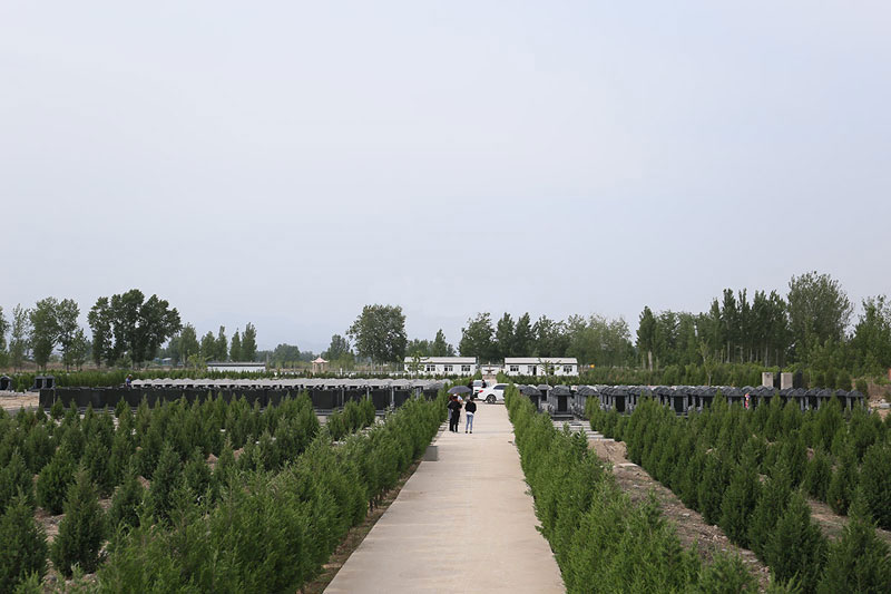 购买墓地需要注意什么