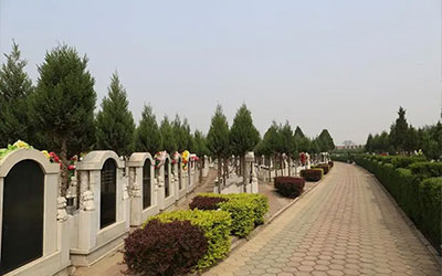 买墓地需要看什么？