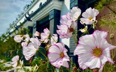 昆明买墓地什么时间合适？