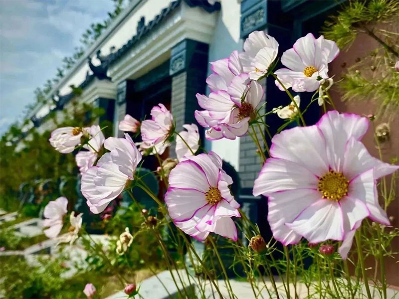 昆明买墓地什么时间合适