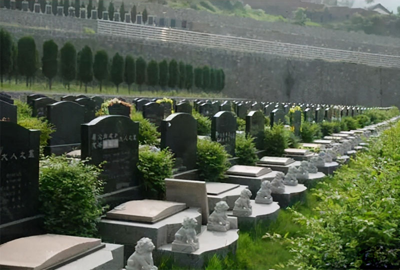 购墓的一般性流程