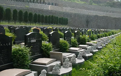 购墓的一般性流程