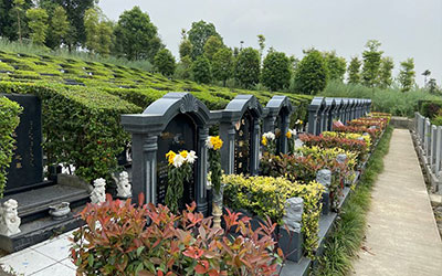 陵园中通过以下知识选墓