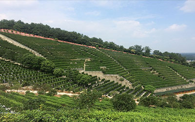 购买昆明墓园前要了解的几个方面