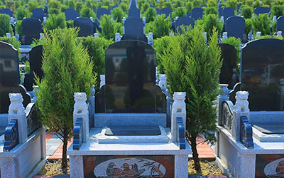 选择墓地时的重要考量因素有哪些？