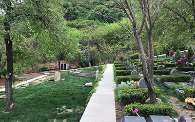 选择墓地哪个朝向的比较好