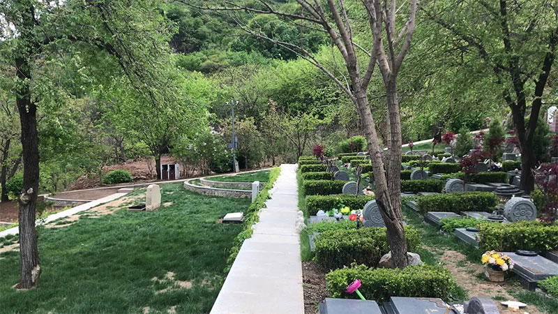 选择墓地哪个朝向的比较好