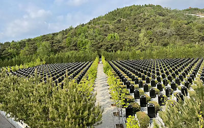 选择公墓的一般风水原则