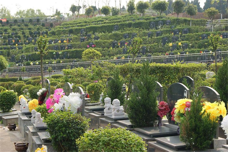 掌握坟地风水秘诀：一句口诀引领安息之地的选择智慧