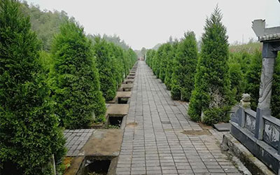 手把手教你墓地公墓陵园该怎么选？