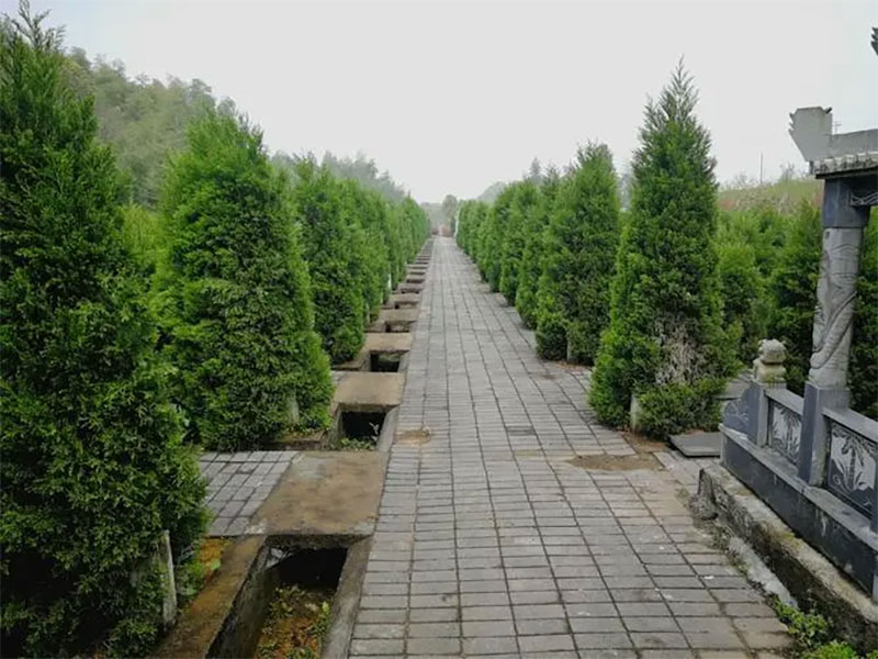 手把手教你墓地公墓陵园该怎么选