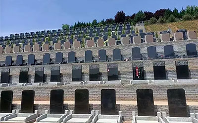 购买墓地一般都有哪些程序？