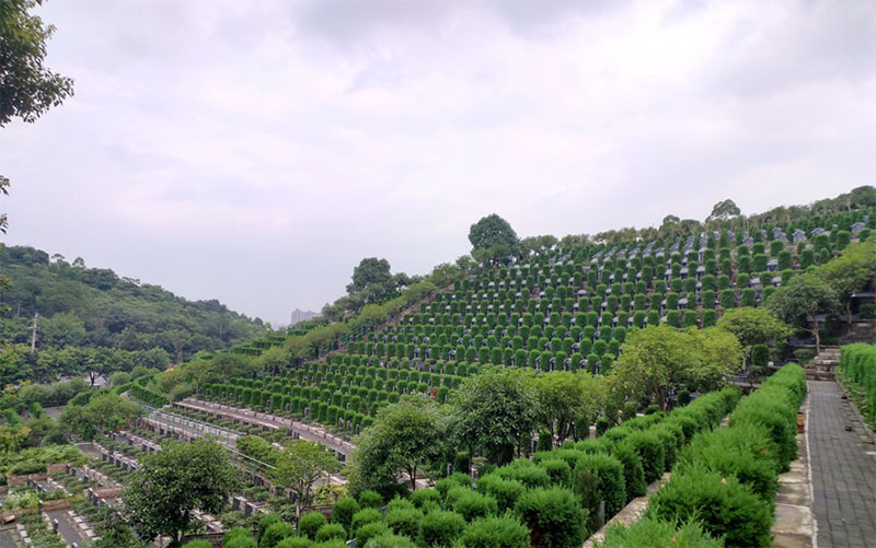 选墓地如何看位置