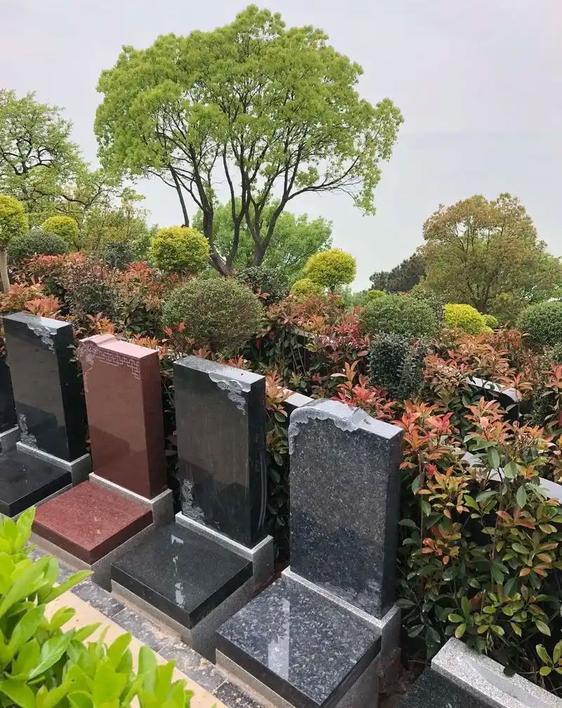 公墓墓地挑选全攻略