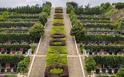 公墓挑选秘籍十年经验