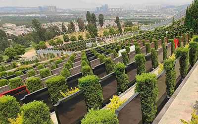 公墓选择指南：如何挑选墓地