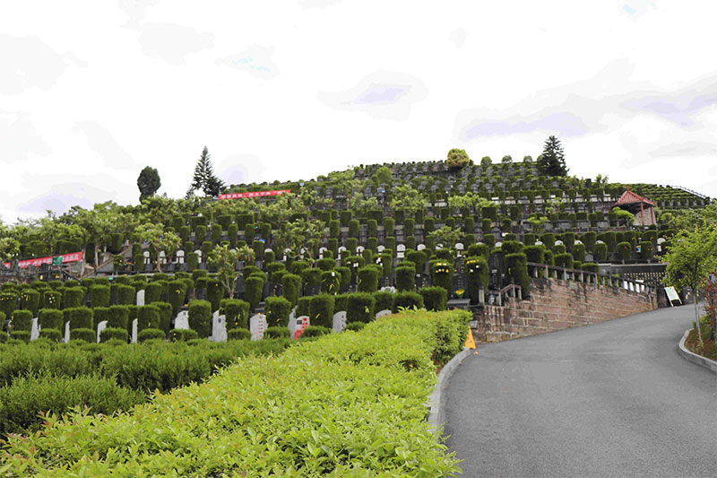 墓地什么方位比较好