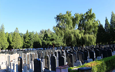 选择墓地有哪些忌讳