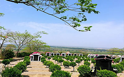 选墓地必看！5大注意事项，轻松搞定！